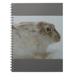 Caderno Espiral R11 Snowshoe Hare Head Shot