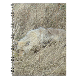 Caderno Espiral R13 Coyote em Grama Alto