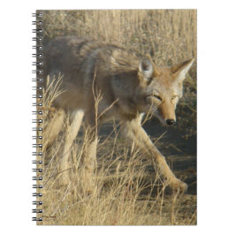 Caderno Espiral R14 Marcha de Coyote