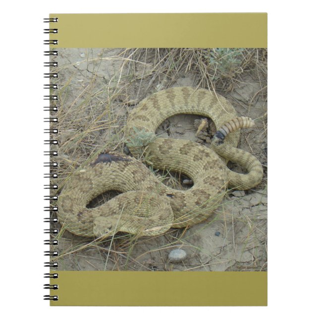 Caderno Espiral R20 Prairie Rattlesnake ferida (Frente)