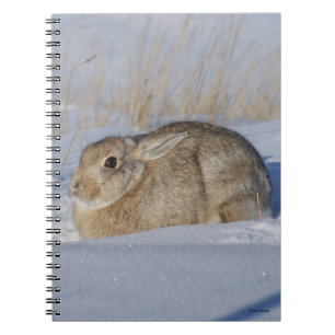 Caderno Espiral R5 Coelho de Algodão em Neve