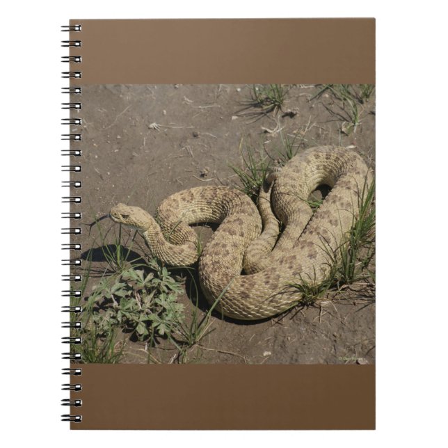 Caderno Espiral R6 Prairie Rattlesnake (Frente)