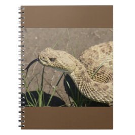 Caderno Espiral R8 Prairie Rattlesnake Head Shot