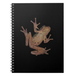 Caderno Espiral rã
