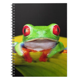 Caderno Espiral Rã-arbórea-de-olho-vermelho, Agalychinis callidrya