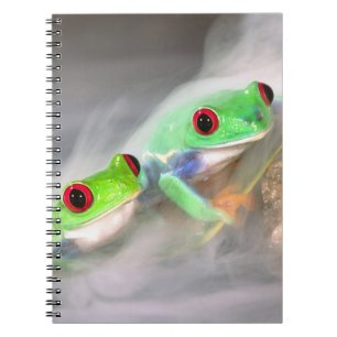 Caderno Espiral Rã-arbórea-de-olho-vermelho na névoa, Agalychinis