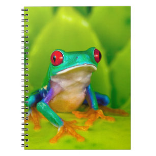 Caderno Espiral Rã de olhos vermelhos, Costa Rica