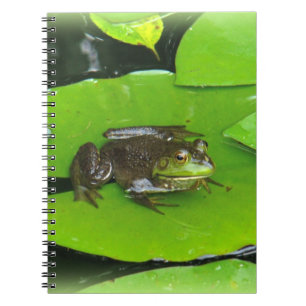 Caderno Espiral Rã-grande em Lilypads