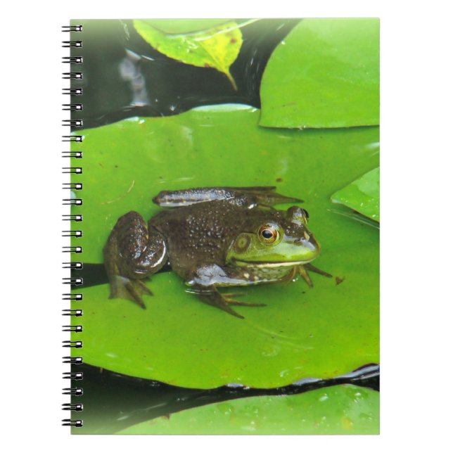 Caderno Espiral Rã-grande em Lilypads (Frente)