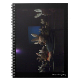 Caderno Espiral Rabbit Cinema Notebook