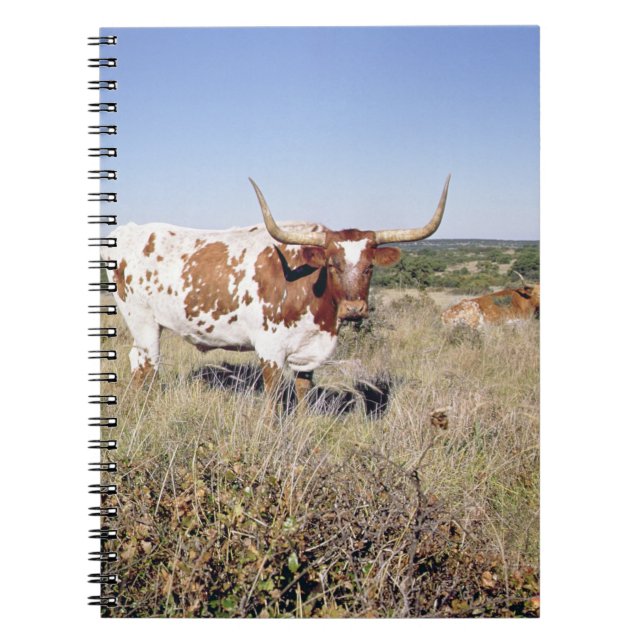 Caderno Espiral Raça de Texas Longhorn (foto) (Frente)