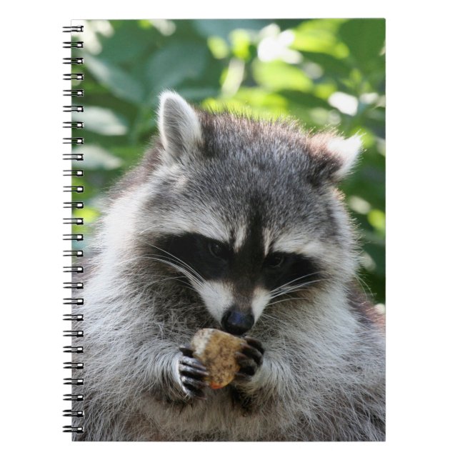 Caderno Espiral Raccoon 004 (Frente)