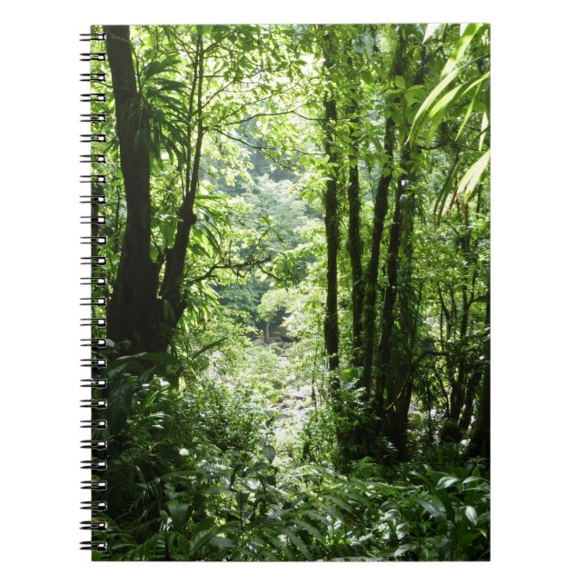 Caderno Espiral Rain Forest II Tropical Verde (Frente)