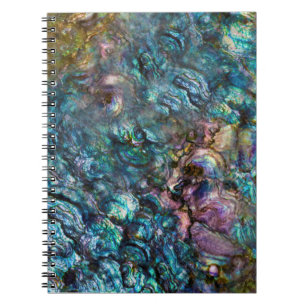 Caderno Espiral Rainbow Iridescente Sea Shell Abalone