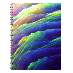 Caderno Espiral Rainbow Wispy Feather Mounts
