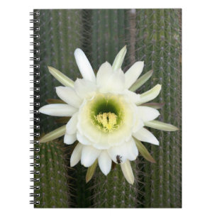 Caderno Espiral Rainha Da Flor De Cacto Noturno, Região Do Karoo