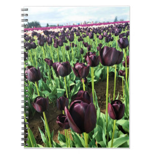 Caderno Espiral Rainha das Tulipas da Noite, Oregon