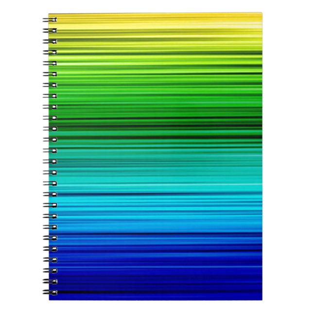 Caderno Espiral Rainobw (Frente)