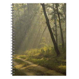 Caderno Espiral Raios de luz da manhã através das árvores na selva