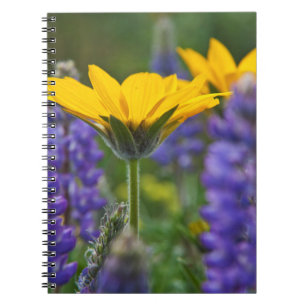 Caderno Espiral Raiz de Balsam e Lupine de Primavera Bloom