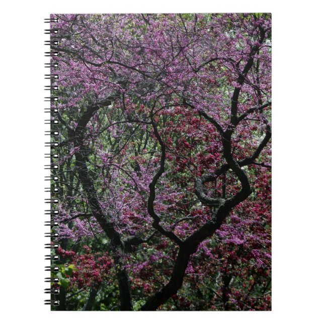 Caderno Espiral Ramais e Blossomas (Frente)