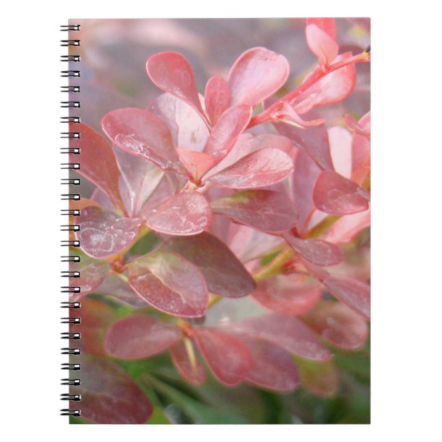 Caderno Espiral Ramificações bonito rosa (Frente)