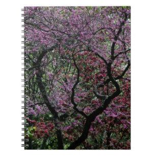 Caderno Espiral Ramificações e Blossomas