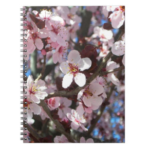 Caderno Espiral Ramo da árvore de florescência do primavera