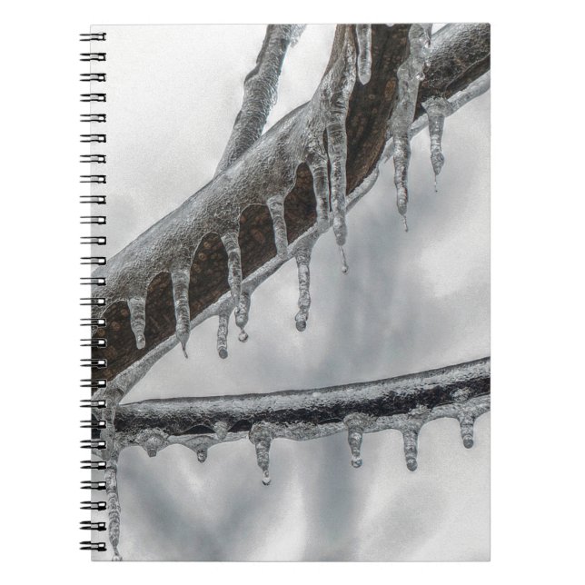 Caderno Espiral Ramo de Icy (Frente)