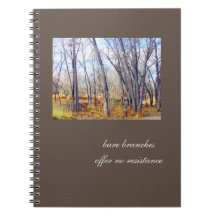 Ramos desencapados, nenhum Diário da resistência