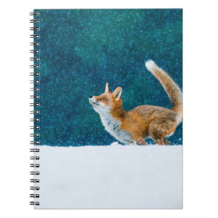 Caderno Espiral Raposa em queda de neve. Raposa vermelha, Vulpes v