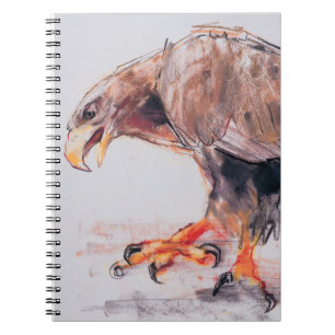 Caderno Espiral Raptor 2001