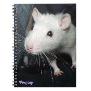 Caderno Espiral rato amigável