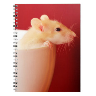 Caderno Espiral Rato do bebê