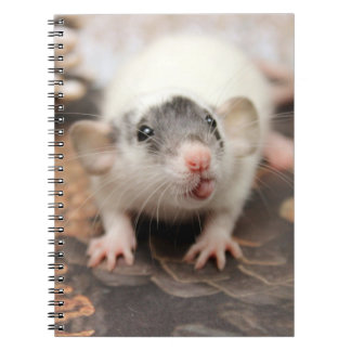 Caderno Espiral Rat's tongue !