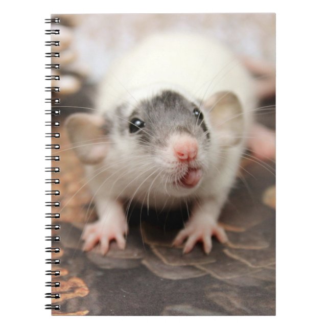 Caderno Espiral Rat's tongue ! (Frente)