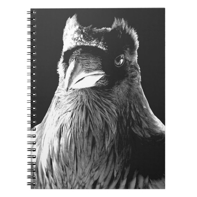 Caderno Espiral Raven Art Notebook Crow Art Diário Book (Frente)
