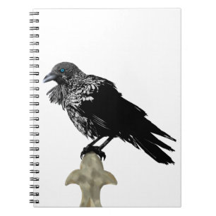 Caderno Espiral Raven Incluso
