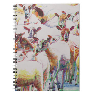 Caderno Espiral Rebanho 2011