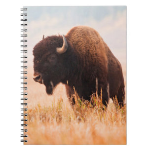 Caderno Espiral Rebanho de Bisontes Americanos (Bison Bison) em Te
