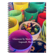 RECOLHA DE VIDROS PEQUENOS DA Laguna B,