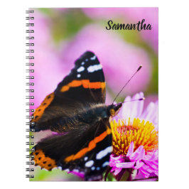 Caderno Espiral Red Almirante Butterfly Notebook Espiral