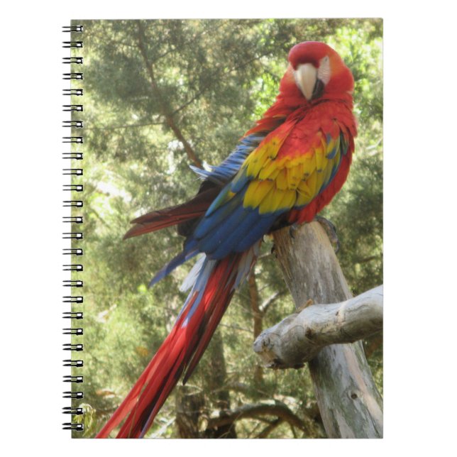 Caderno Espiral Red Macaw Parrot Bird Colorida Tropical (Frente)