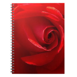 Caderno Espiral Red-Rosa-3.jpg