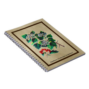 Caderno Espiral Redhaw Hawthorn Em Papel Antigo