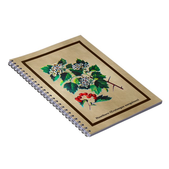 Caderno Espiral Redhaw Hawthorn Em Papel Antigo (Lado Direito)