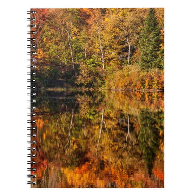 Caderno Espiral Reflexo de outono no Coffin Pond (Frente)