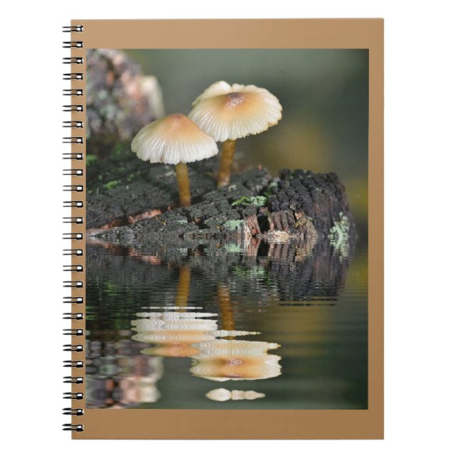 Caderno Espiral Reflexões do Cogumelo (Frente)