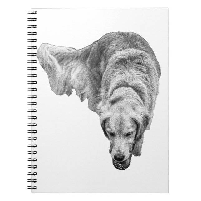 Caderno Espiral Reflexões do Fosco Dawn (Frente)