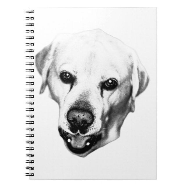 Caderno Espiral Reflexões na Tinta (Frente)